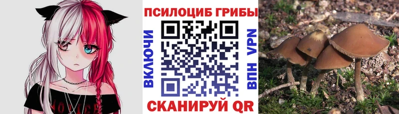Псилоцибиновые грибы мухоморы  Покров 